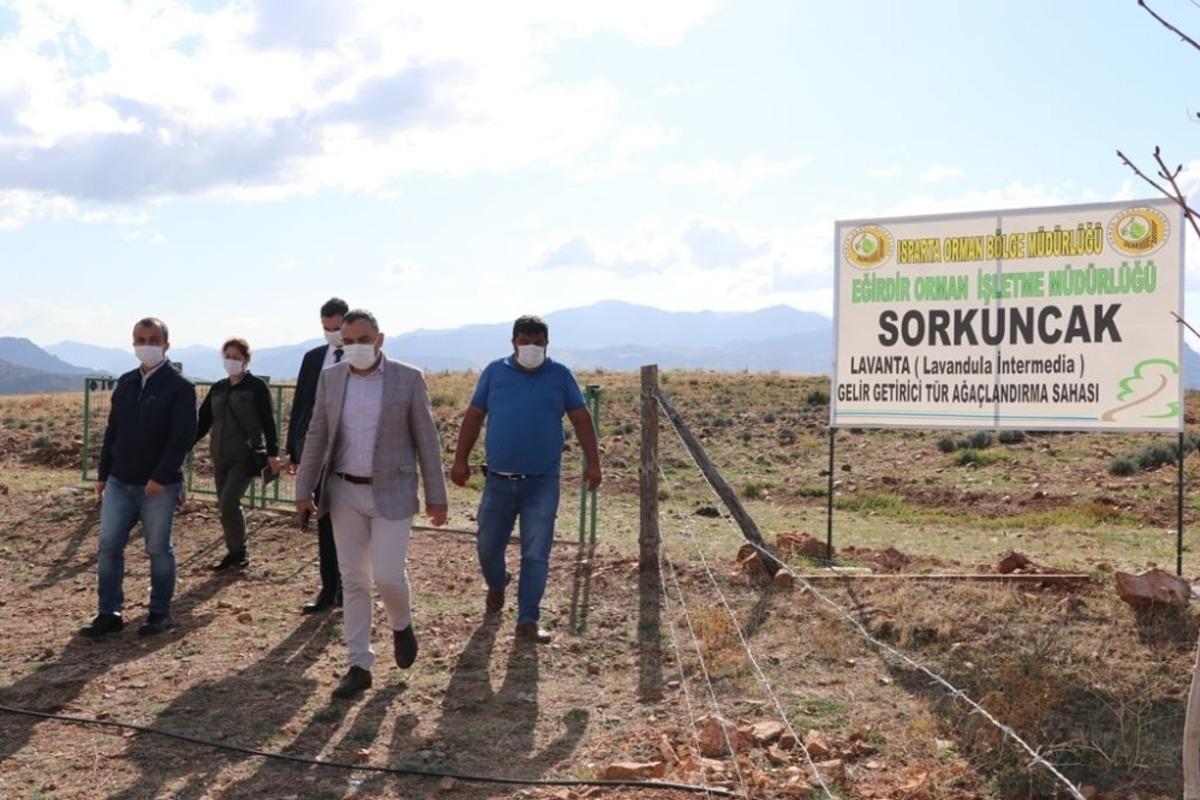 Sorkuncak K&ouml;y&uuml; lavantalarla cazibe merkezi haline getirilecek