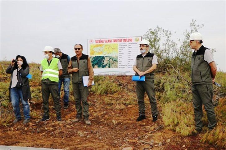Nazilli’de Silvikültür Tatbikatı yapıldı G3