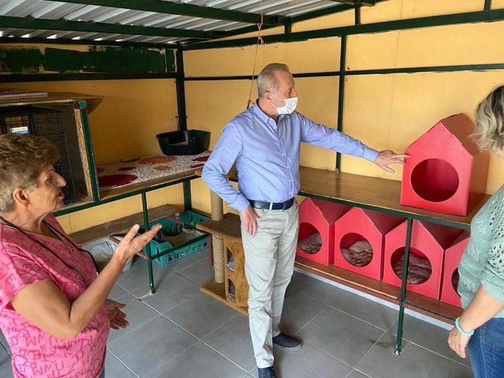 Başkan Atabay’dan kedi evine ziyaret G1