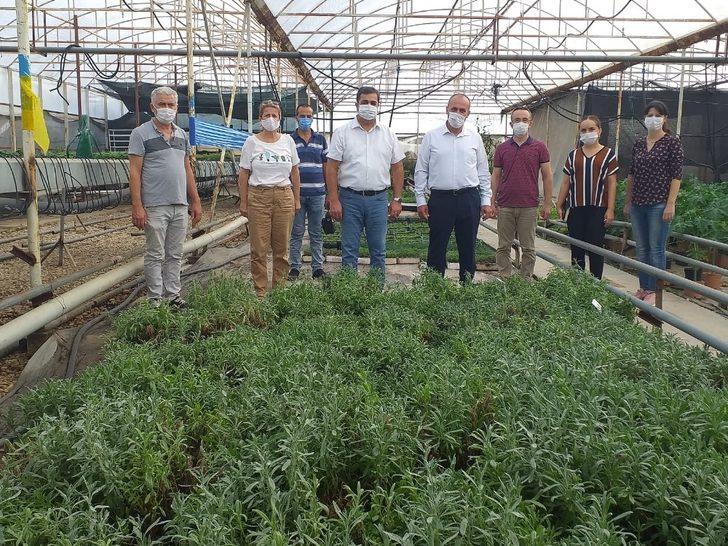 Serik’ten Van’daki 10 kadın çiftçiye 10 bin 400 adet tüplü lavanta fidesi G1