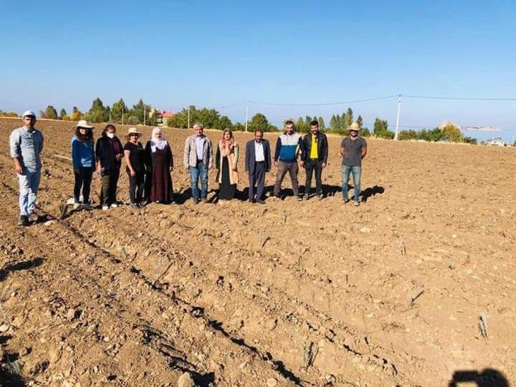 Serik’ten Van’daki 10 kadın çiftçiye 10 bin 400 adet tüplü lavanta fidesi G2