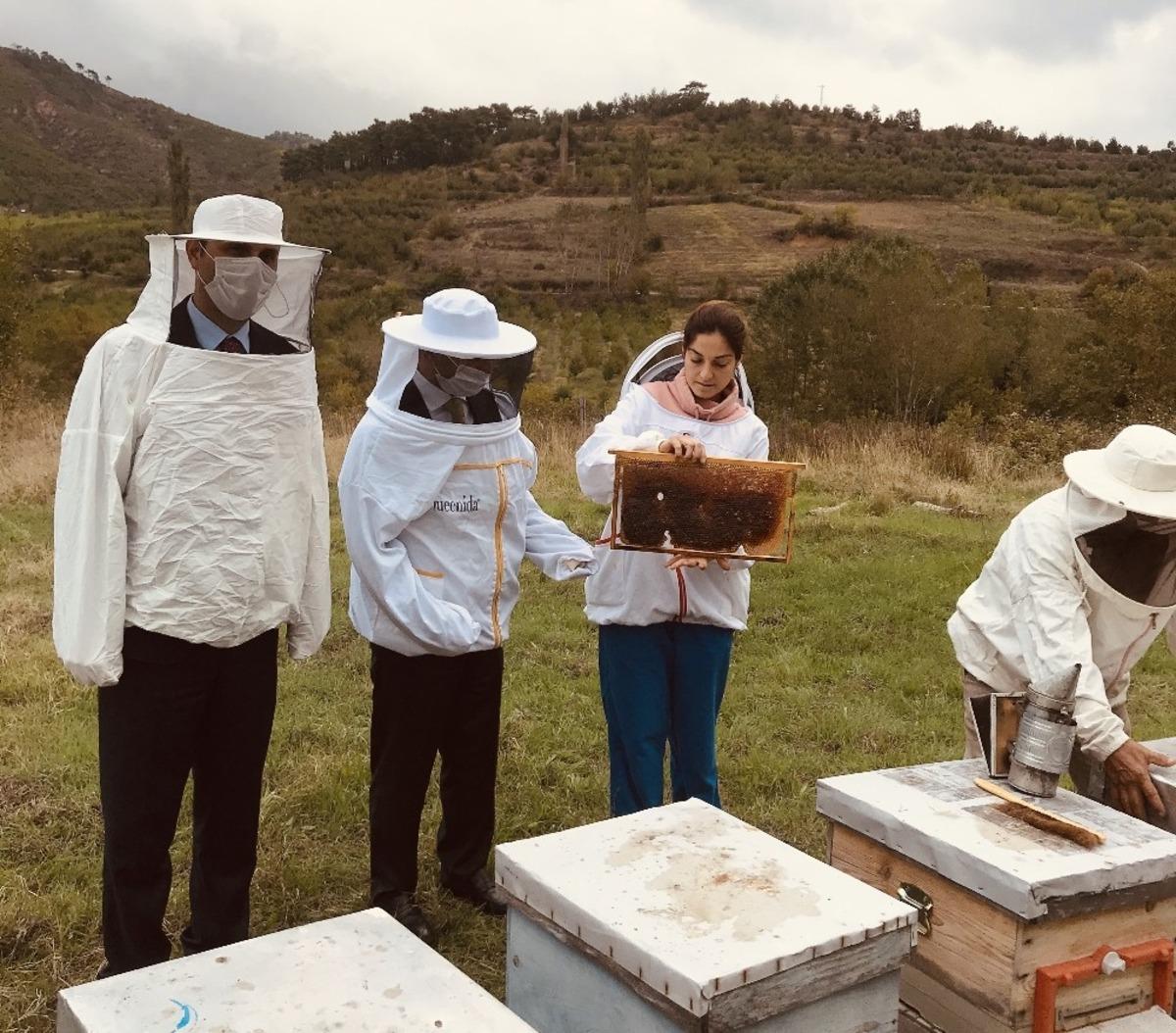 Vali Aktaş, kestane balı hasat sağımına katıldı