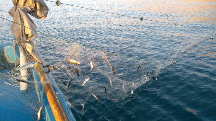 Van Gölü  “Van Gölü İnci Kefali Stoğunun İzlenmesi” projesi G3
