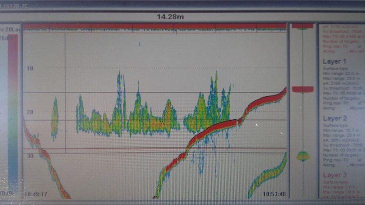 Van Gölü  “Van Gölü İnci Kefali Stoğunun İzlenmesi” projesi G4