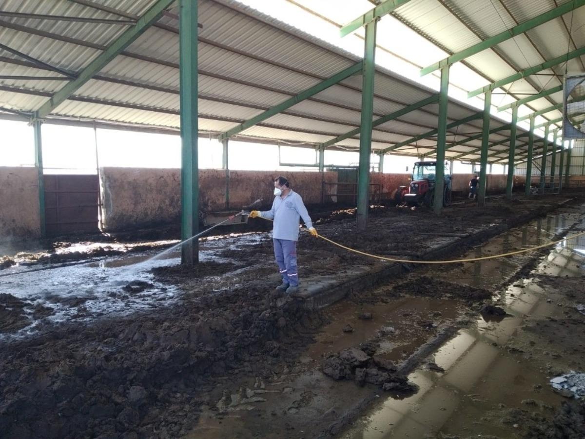 B&uuml;y&uuml;kşehir &uuml;&ccedil; g&uuml;n hastalığına karşı m&uuml;cadele başlattı