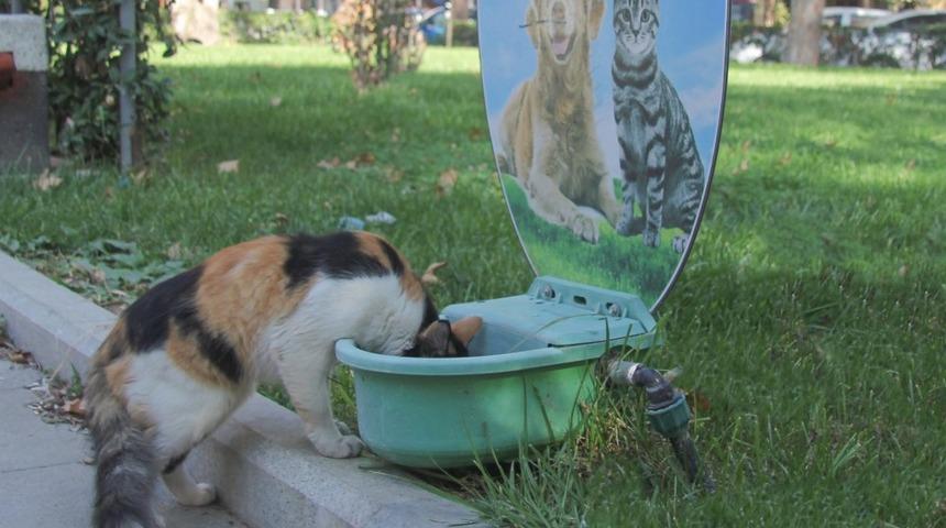 Burhaniye&rsquo;de can dostları susuz kalmayacak