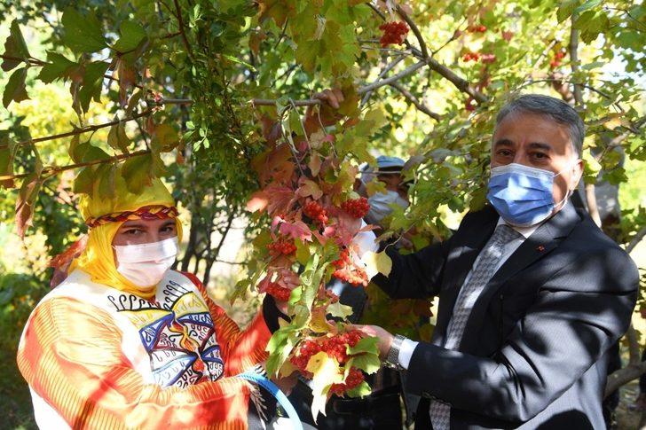 Coğrafi İşaretli, Böbrek Dostu Gilaburunun Hasadı Yapıldı G5