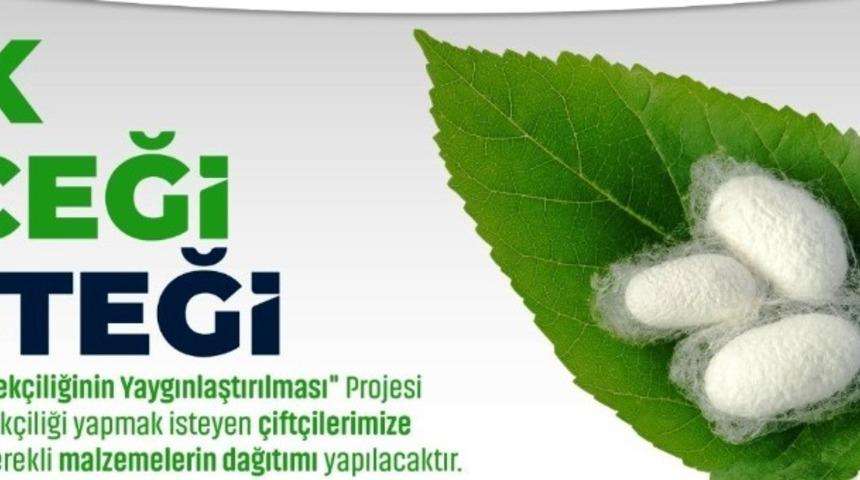 Şanlıurfa’da ipek böcekçiliğinin yaygınlaştırılmasına destek