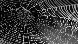 Rüyada örümcek ağı görmek ne anlama gelir? Rüyada mağarada, renkli örümcek ağı görmek ne demek?