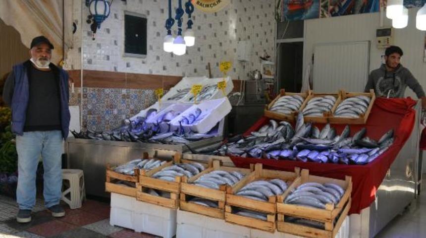 Palamut fiyatları 20 TL'ye kadar yükseldi