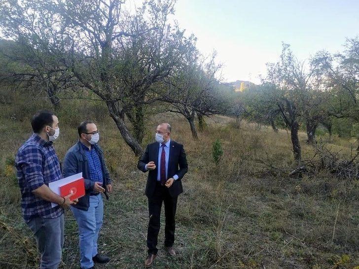 150 yıllık elma ağaçları koruma altına alınacak G1