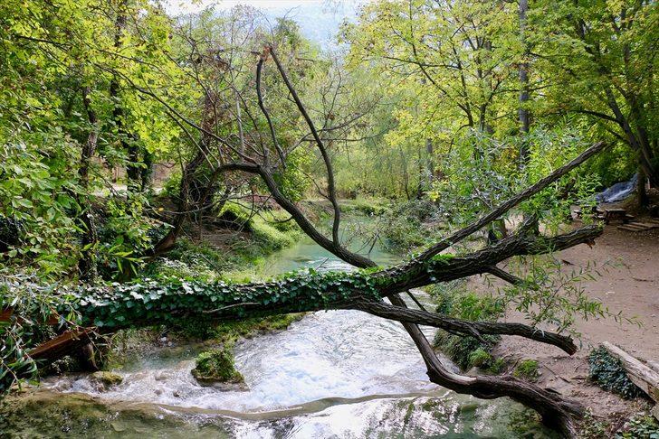 Gürleyik Çayı sonbahar renkleriyle hayran bırakıyor G3