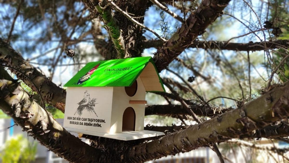 Kahramanmaraş&rsquo;ta kedi ve kuşlara ev