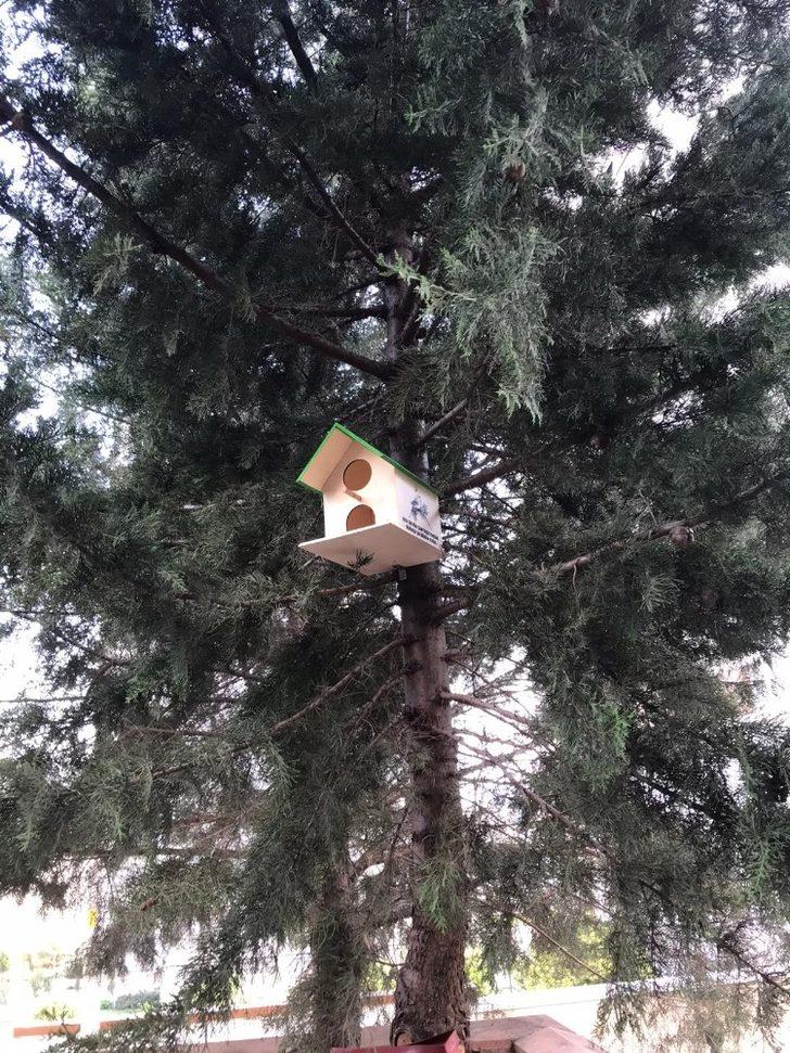 Kahramanmaraş’ta kedi ve kuşlara ev Kahramanmaraş Haberleri