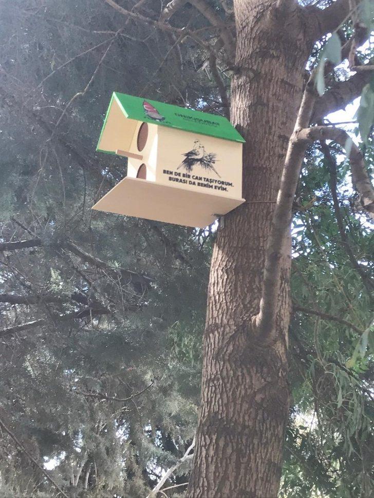 Kahramanmaraş’ta kedi ve kuşlara ev Kahramanmaraş Haberleri