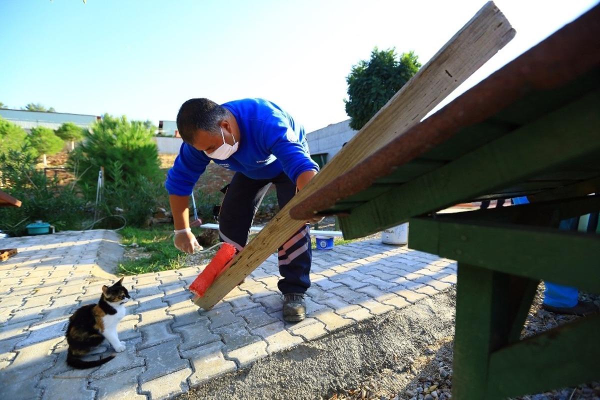 Kedilerin kışlık yuvaları hazırlanıyor