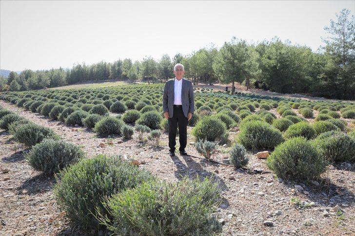 Başkan Gürün, “Muğla turizmden daha fazlasını tarımdan kazanabilir” G2