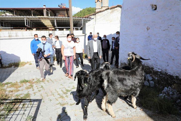 Başkan Gürün, “Muğla turizmden daha fazlasını tarımdan kazanabilir” G3