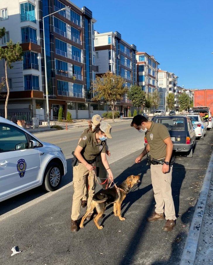 Çorum’da Çevre, Doğa ve Hayvanları Koruma Büro Amirliği kuruldu G4