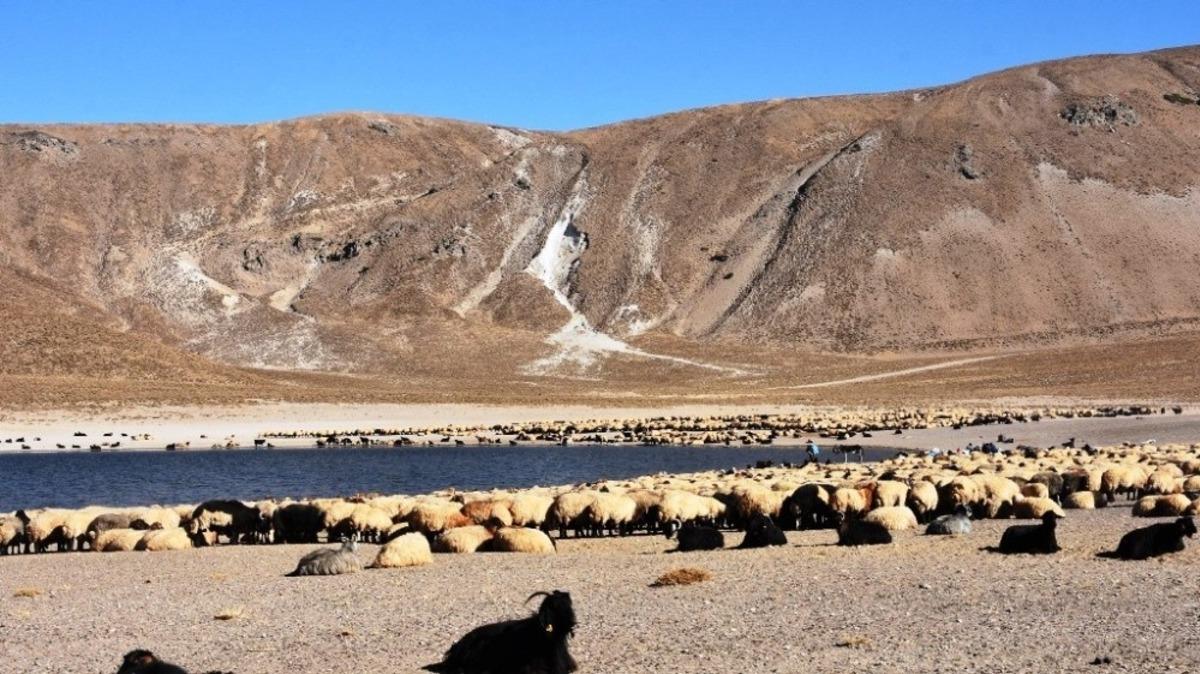 G&ouml;&ccedil;erlerin zorlu d&ouml;n&uuml;ş yolculuğu başladı