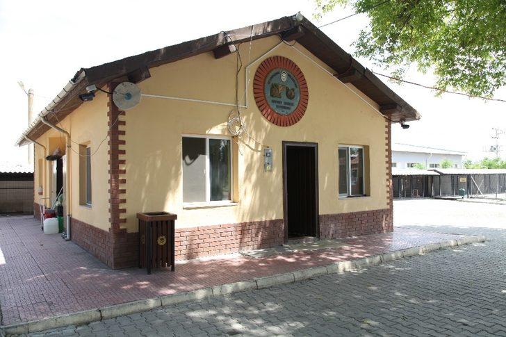 Salgın önlemleri kapsamında Odunpazarı Geçici Hayvan Bakımev bir süreliğine kapatıldı G3