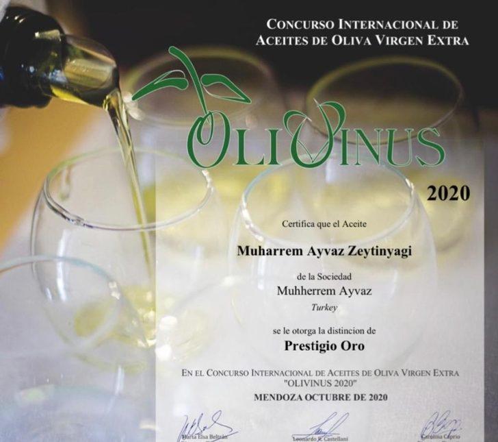 Geyikli, zeytinyağı kalitesini dünyaya ispat etti G2