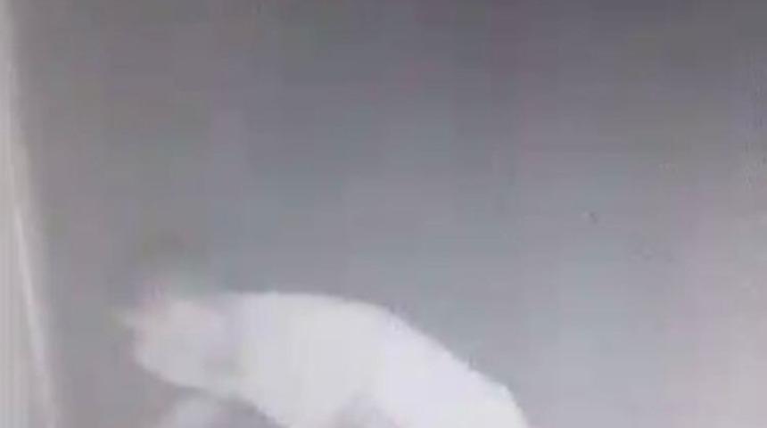 Al&ccedil;ılı kolla hırsızlık yaptı