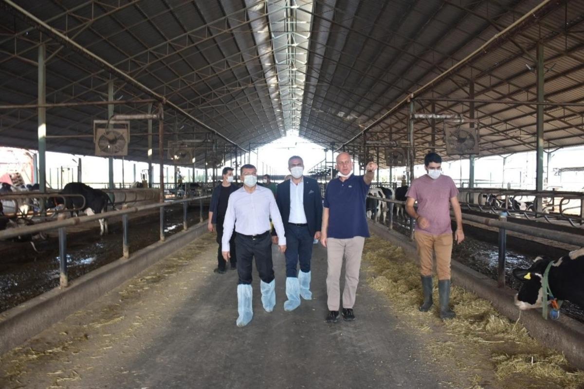 Kaymakam Şahin, Kocag&uuml;r&rsquo;deki &ccedil;iftliği ziyaret etti