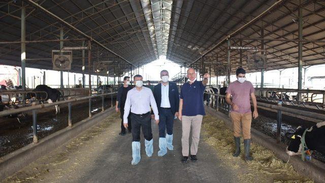 Kaymakam Şahin, Kocagür’deki çiftliği ziyaret etti