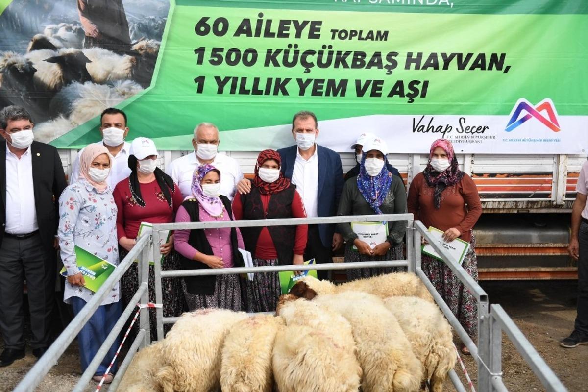 Mersin&rsquo;de 60 &uuml;reticiye bin 500 k&uuml;&ccedil;&uuml;kbaş hayvan desteği sağlandı