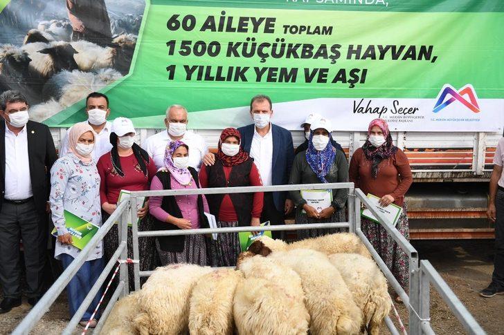 Mersin’de 60 üreticiye bin 500 küçükbaş hayvan desteği sağlandı G1