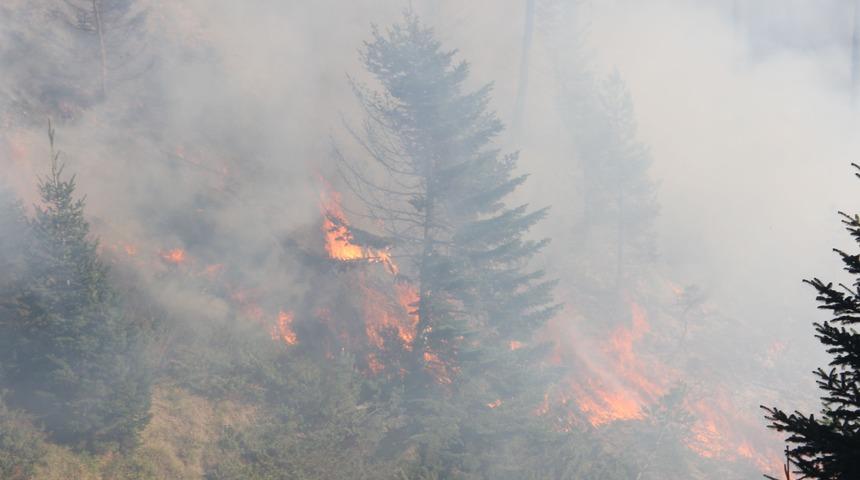 Kastamonu ormanları 4 g&uuml;nd&uuml;r yanıyor