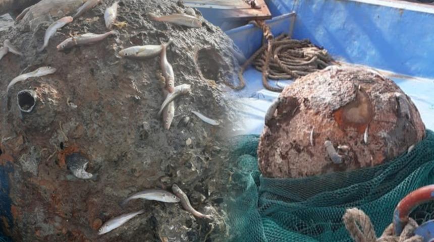 İstanbul Boğazı'nda balık&ccedil;ıların ağına takıldı! Paniğe yol a&ccedil;tı