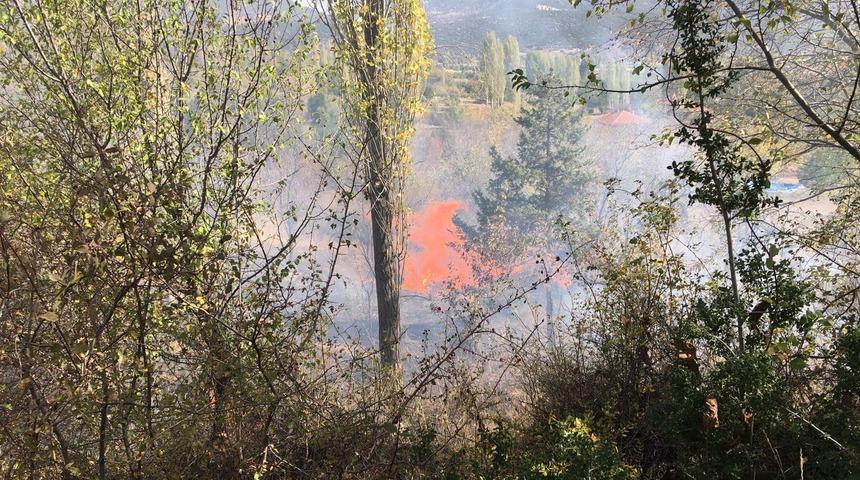 Denizli'de &ccedil;ift&ccedil;inin yaktığı anız 10 d&ouml;n&uuml;m araziyi k&uuml;le &ccedil;evirdi