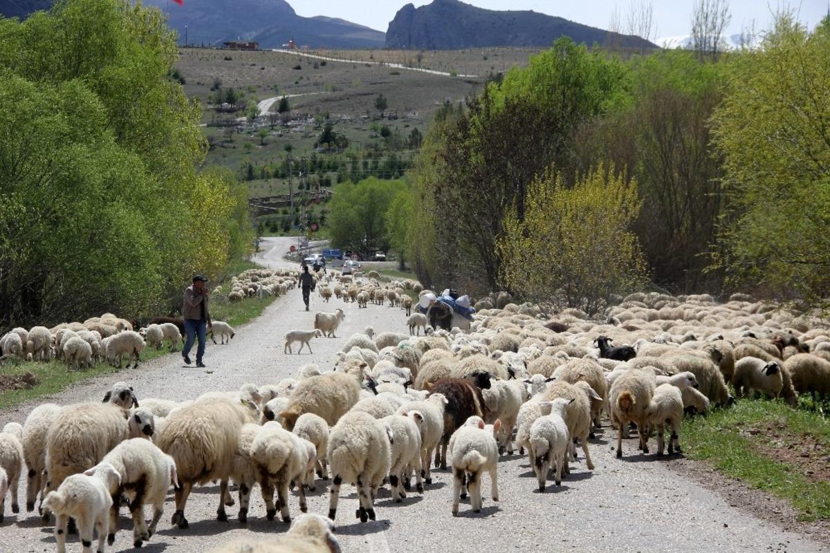 Yayla mesaisini tamamlayan Doğu Anadolu&rsquo;daki g&ouml;&ccedil;erler d&ouml;n&uuml;ş yolunda