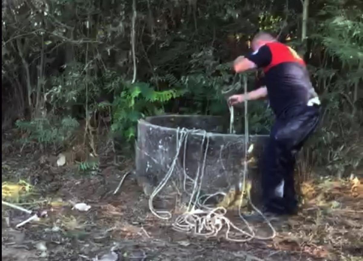 Milas&rsquo;ta tilki operasyonu