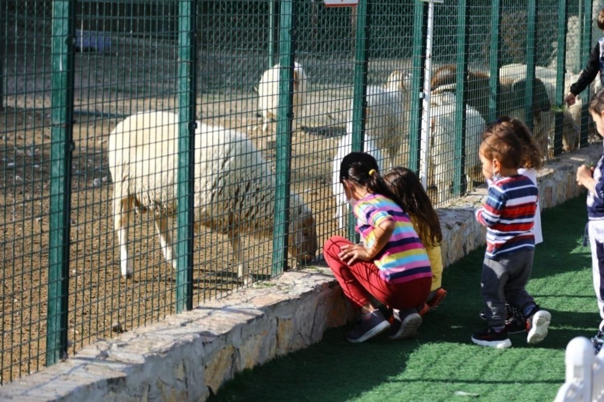 Ke&ccedil;i&ouml;ren&rsquo;de doğal yaşama ailelerin ilgisi yoğun
