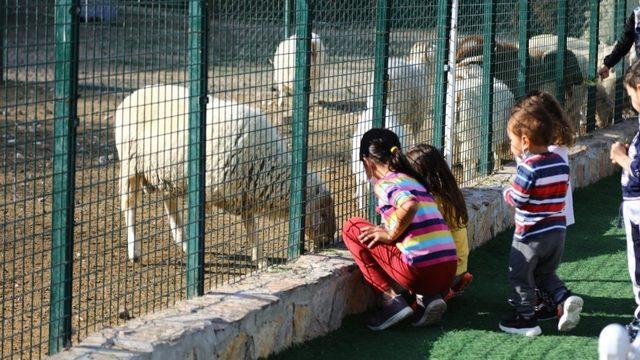 Keçiören’de doğal yaşama ailelerin ilgisi yoğun