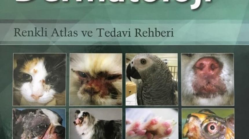 AD&Uuml;&rsquo;l&uuml; &ouml;ğretim &uuml;yesinin &ccedil;evirisini yaptığı kitap yayınlandı