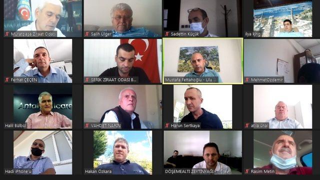 Zeytinde Yüzde3-40 rekolte kaybı