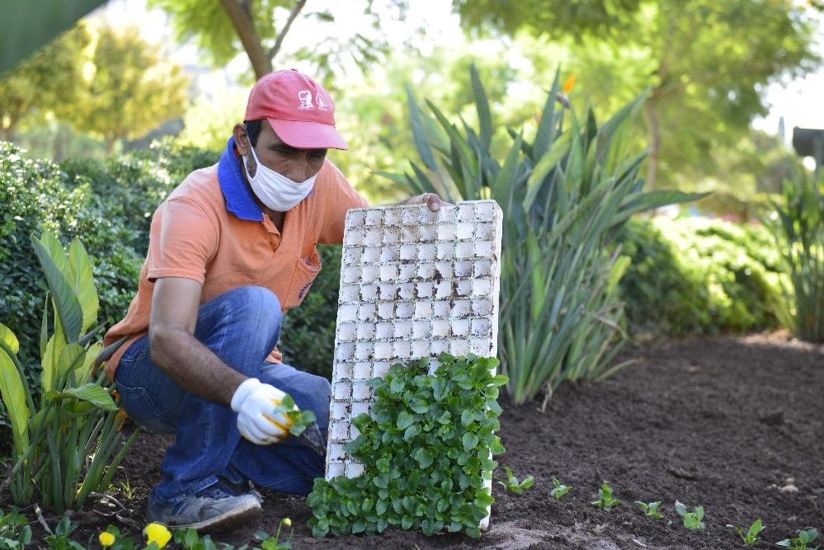 600 bin mevsimlik &ccedil;i&ccedil;ek