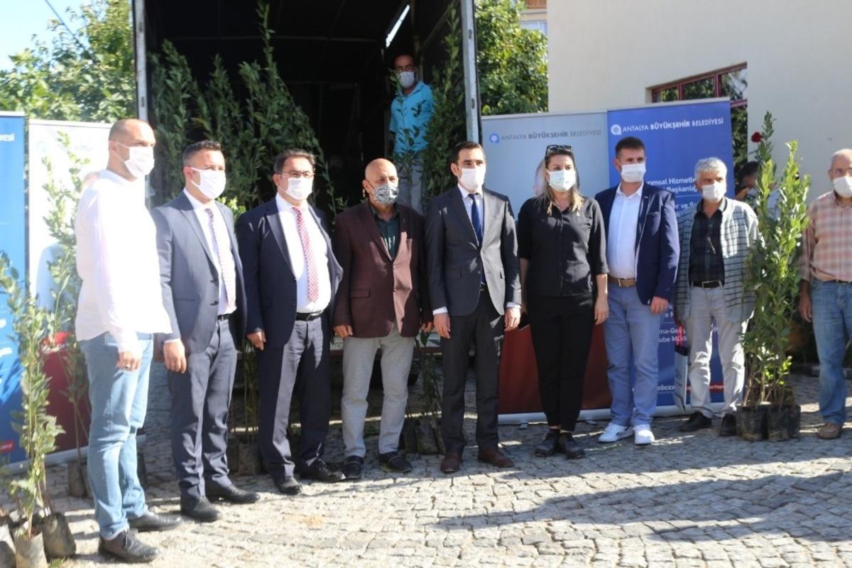 İbradı&rsquo;da &ccedil;ift&ccedil;iye zeytin ve defne fidesi dağıtıldı