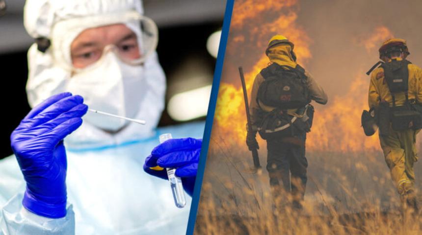 D&uuml;nyanın en k&ouml;t&uuml; yılı 2020 değil