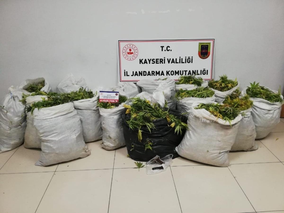 Jandarmadan uyuşturucu operasyonu: 160 kilo yaş kubar esrar ele ge&ccedil;irildi