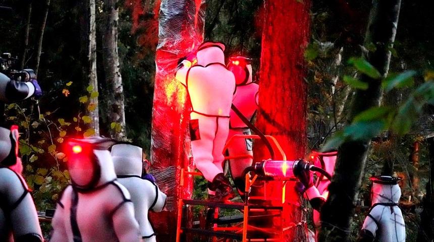 ABD'de katil eşek arılarına film gibi operasyon