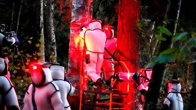 ABD'de katil eşek arılarına film gibi operasyon