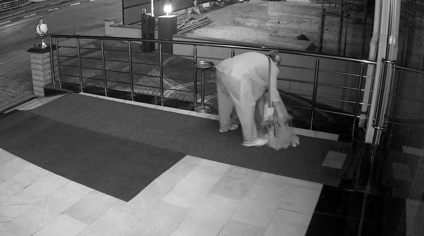 Bu kadarına pes! Bitkileri sokağa bırakıp saksıyı çaldı