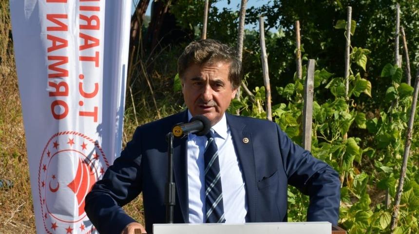 Safranbolu&rsquo;da 100 d&ouml;n&uuml;ml&uuml;k  &lsquo;Aromatik Bitki Şehri&rsquo; kuruldu