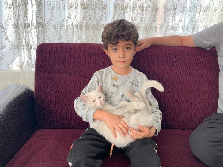 Ağaçta mahsur kalan kediyi köprü yaptığı tahta ile kurtardı G2