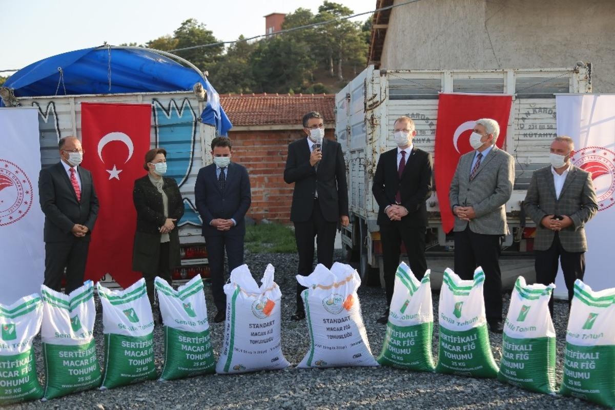 &Ccedil;ift&ccedil;ilere 75 ton Macar Fiği tohumu dağıtıldı